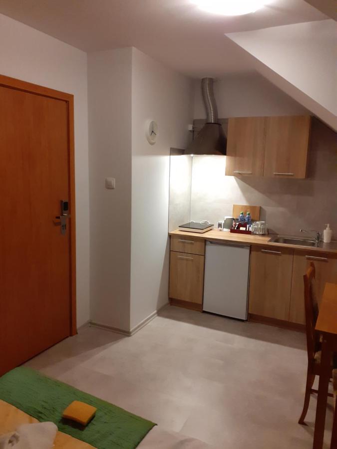 Aparthotel Arkadia Płock エクステリア 写真